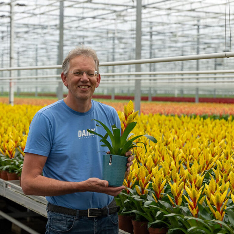 Pot and plant combinations at LKP Plants